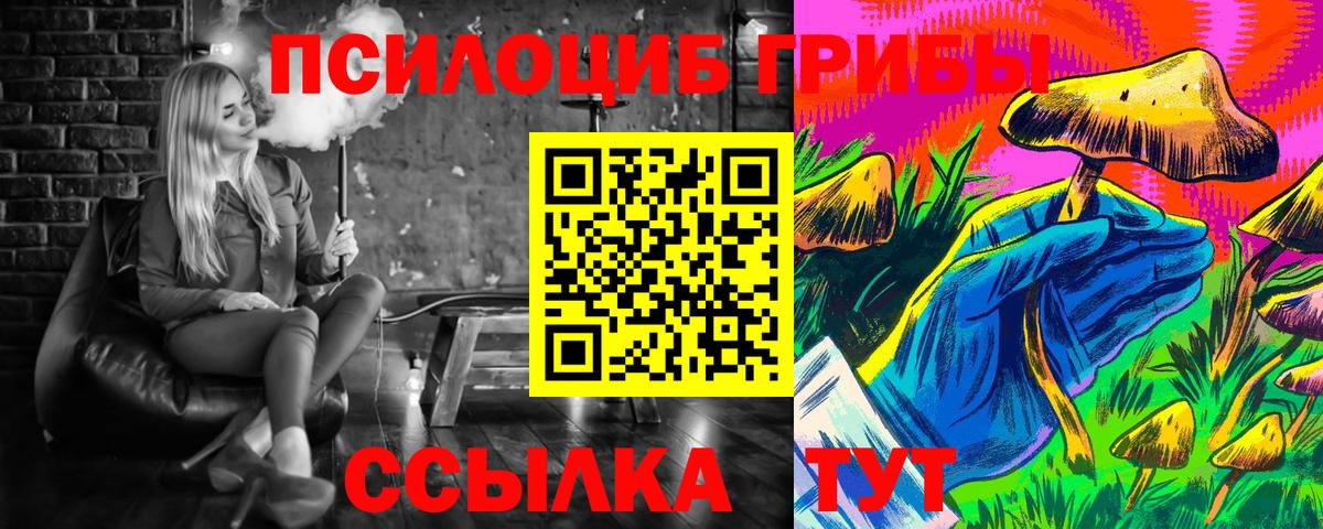 Псилоцибиновые грибы Psilocybe  где продают наркотики  Большой Камень  Вход с VPN 